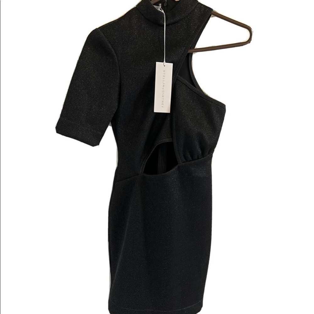 Stella McCartney Malisa Mini Dress